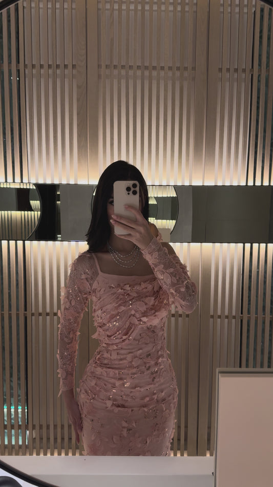 Delicate Rose Dress
